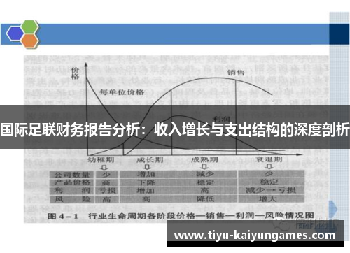 国际足联财务报告分析：收入增长与支出结构的深度剖析