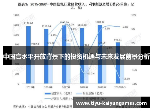 中国高水平开放背景下的投资机遇与未来发展前景分析
