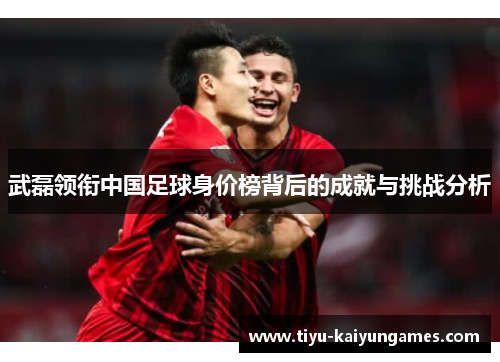 武磊领衔中国足球身价榜背后的成就与挑战分析