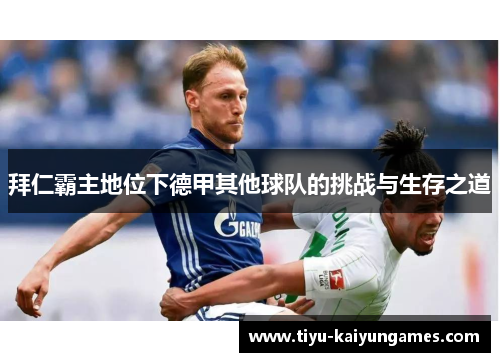 拜仁霸主地位下德甲其他球队的挑战与生存之道 拜仁霸主地位下德甲其他球队的挑战与生存之道