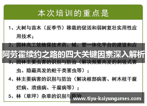 阿劳霍续约之路的四大关键因素深入解析 阿劳霍续约之路的四大关键因素深入解析
