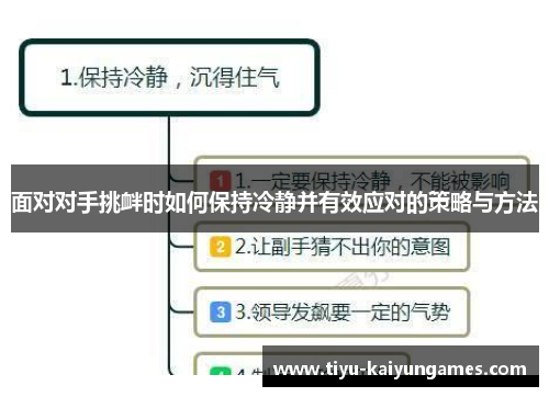 面对对手挑衅时如何保持冷静并有效应对的策略与方法 面对对手挑衅时如何保持冷静并有效应对的策略与方法